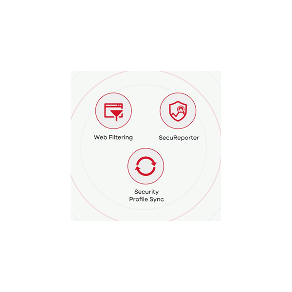 Zyxel USG FLEX 50 firewall (hardware) 0.35 Gbit/s [USGFLEX50-EU0101F] 