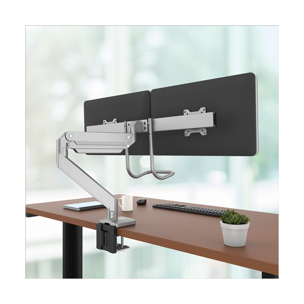 Fellowes EPPA CROSSBAR MONITOR ARM - SILVER [9909201]