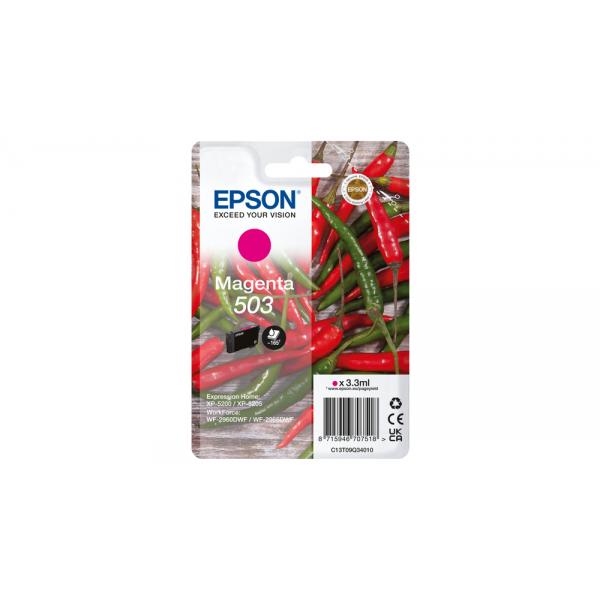 Epson 503 cartuccia d'inchiostro 1 pz Originale Resa standard Magenta [C13T09Q34010]