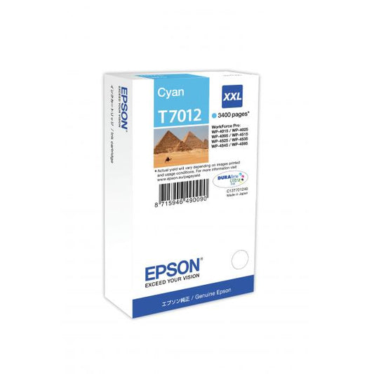 Epson Canister Cyan [C13T70124010]