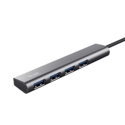 Trust Halyx USB 3.2 Gen 1 (3.1 Gen 1) Type-A 5 Mbit/s Grigio [24948]