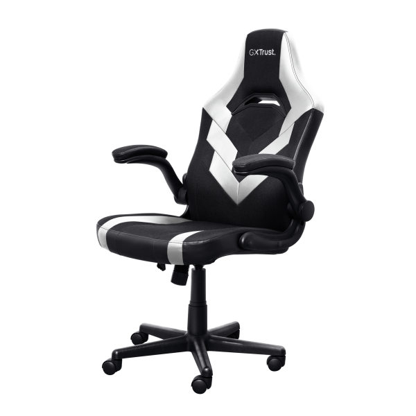 Trust GXT 703W RIYE Universal gaming chair Black, White [25130] 