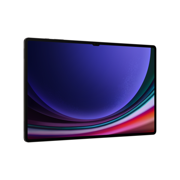 Samsung Galaxy Tab S9 Ultra 5G [SM-X916BZAAEUE]