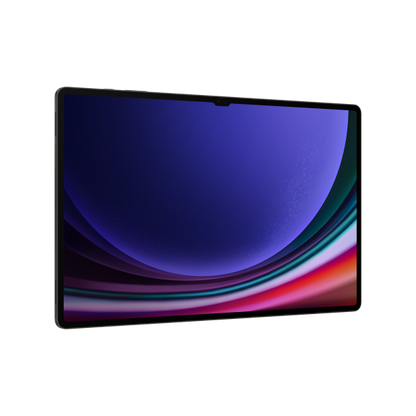 Samsung Galaxy Tab S9 Ultra 5G [SM-X916BZAAEUE]