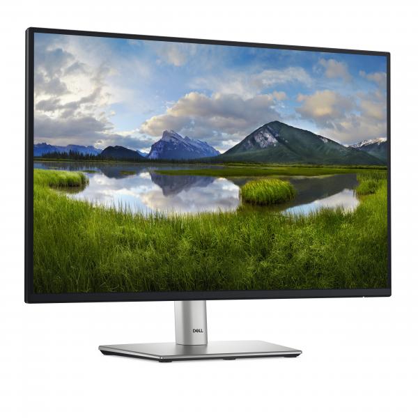 Dell P2425E - 24 inch - WUXGA IPS LED Monitor - 1920x1200 - Pivot / HAS / RJ45 / USB-C [DELL-P2425E]