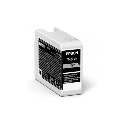 Epson UltraChrome Pro cartuccia d'inchiostro 1 pz Originale Grigio chiaro [C13T46S900]