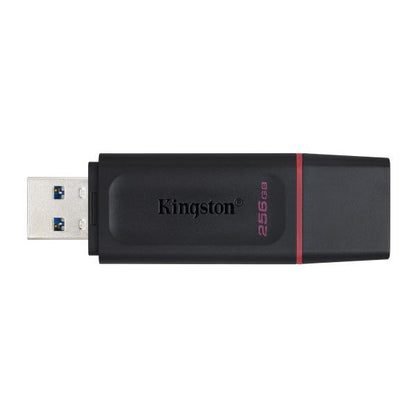 KINGSTON PEN DISK USB 3.2 256GB DATATRAVELER EXODIA [DTX/256GB]