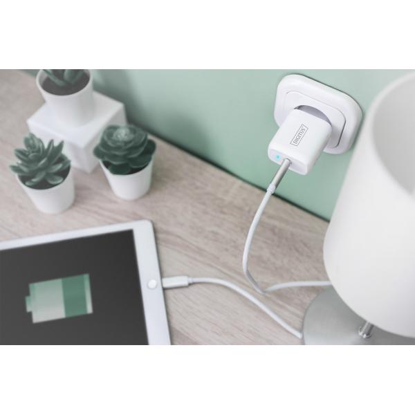 Digitus USB-C Charging Adapter - 20W - White [DA-10196]