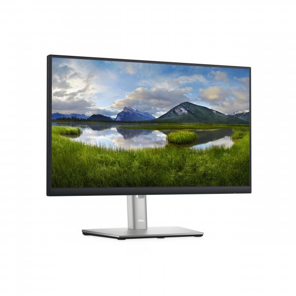 DELL P Series Monitor 22  P2222H [DELL-P2222H]