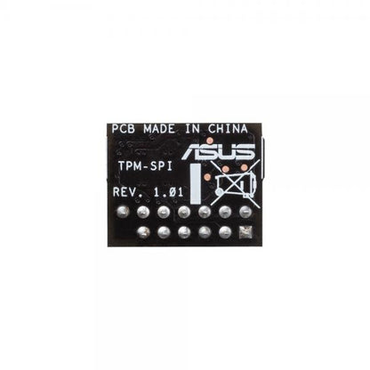 ASUS TPM-SPI 2.0 [90MC07D0-M0XBN1]