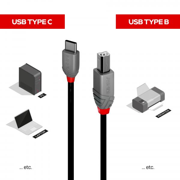 Lindy 36941 cavo USB 1 m USB 2.0 USB C USB B Nero [LINDY36941]