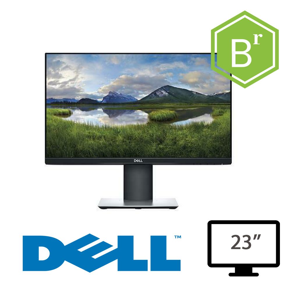 MONITOR DELL P2319H - 23 GRADO B [006348PCR-EU]