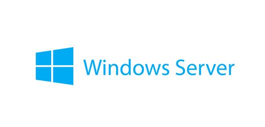 Windows Server 2025 Standard ROK (16 core) - ML [7S1S0009WW]